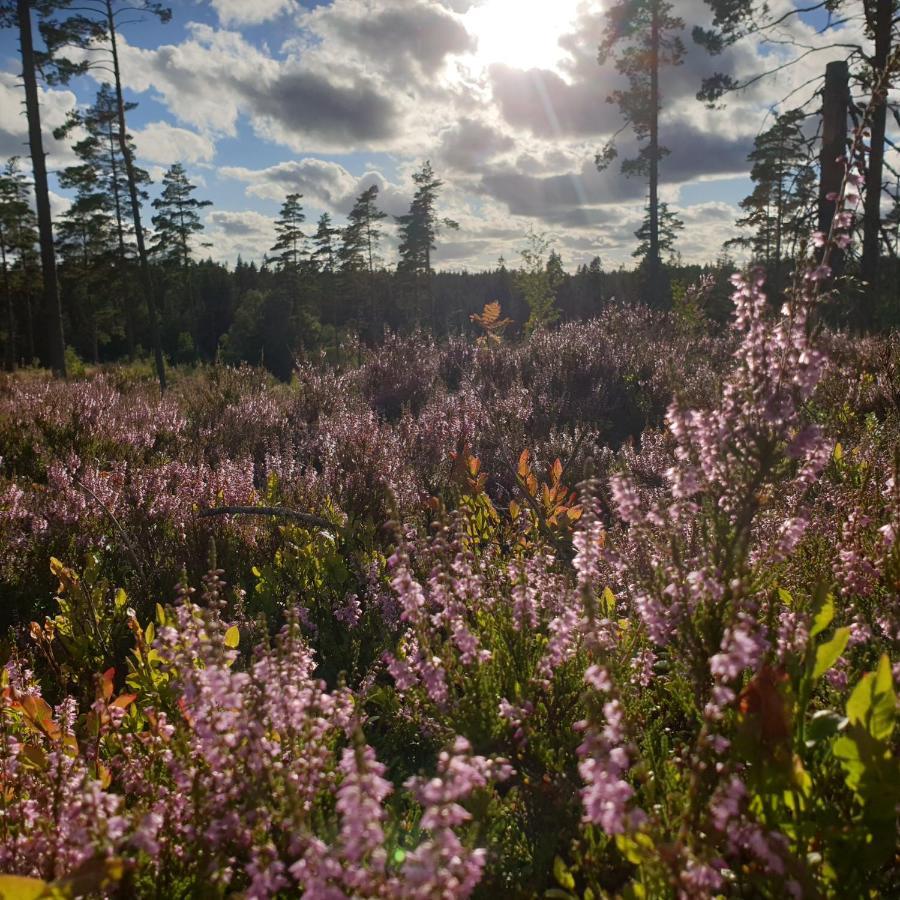 Near Lake&beautiful Nature Reserve.