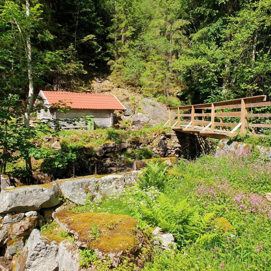 Hébergement de vacances Near Lake&beautiful Nature Reserve. Bodafors