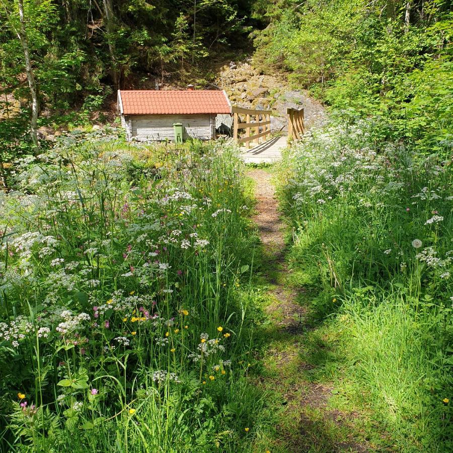 Near Lake&beautiful Nature Reserve. Bodafors
